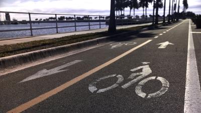 Trek Allant+ 5 Lowstep L Blue Sage 725 Produktbild 2