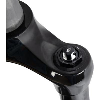 RST Federgabel Pulse 29 - 15 Air TNL Produktbild 4
