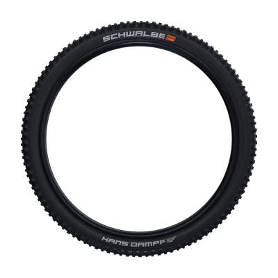 Schwalbe FALTREIFEN HANS DAMPF Evolution Line Soft Super Trail 60-559 Schwarz Produktbild 1