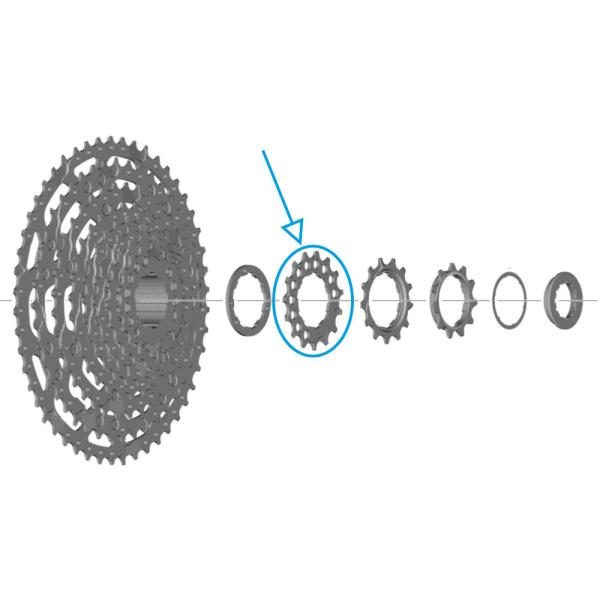 SHIMANO Ritzel f&uuml;r CS-LG600 15 Z&auml;hne