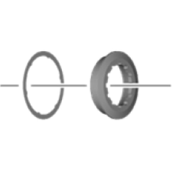 SHIMANO Verschlussring CS-R8100