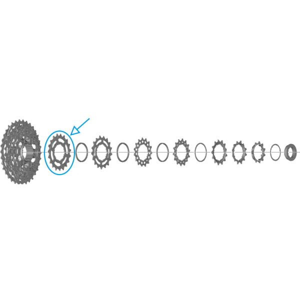 SHIMANO Ritzel f&uuml;r CS-R7100 19 Z&auml;hne