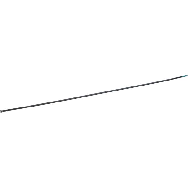 SHIMANO Speiche WH-RS81 VR