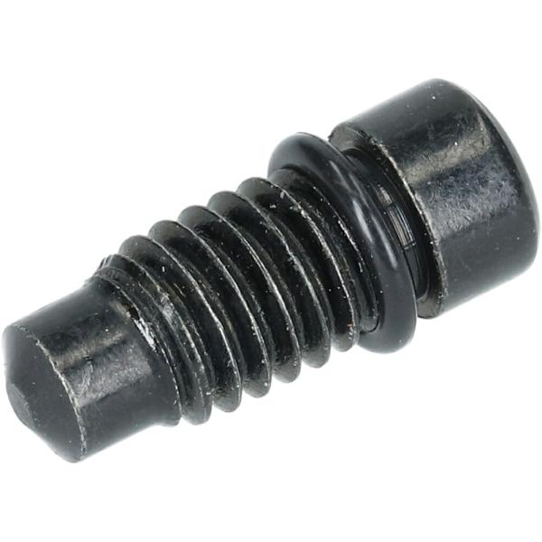 SHIMANO ENTL&Uuml;FETRSCHRAUBE M. DICHTRING