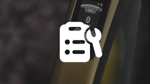 Inspektion E-Bike